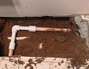 北湖测漏水哪家好