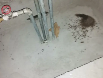 北湖卫生间测漏水价格明细