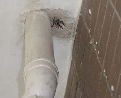 北湖漏水检测哪家好